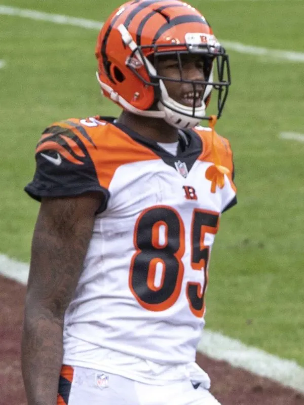 Tee Higgins on a football field